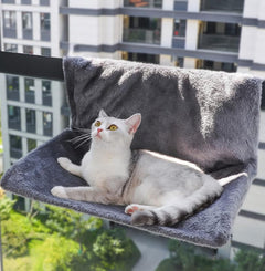 Fur Cat Hammock
