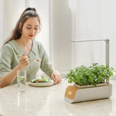 Home LED Grow Light Hydroponic Planter Height Adjustable Indoor Gardening System