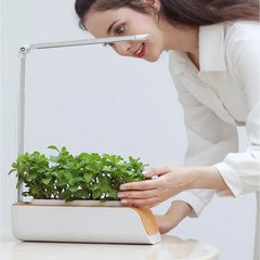 Home LED Grow Light Hydroponic Planter Height Adjustable Indoor Gardening System