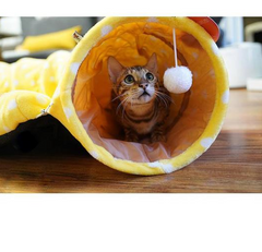 Cat Nest & Tunnel